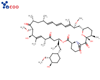 Rapamycin 
