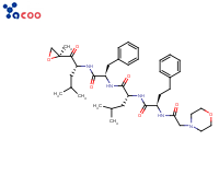 Carfilzomib
