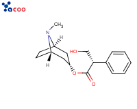 L-Hyoscyamine
