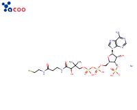 COENZYME A SODIUM SALT
