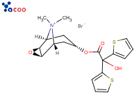 Tiotropium bromide
