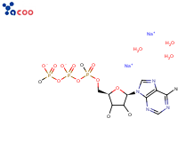 Adenosine 5'-triphosphate disodium salt
