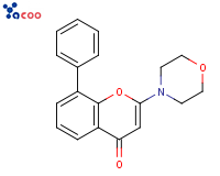 LY294002
